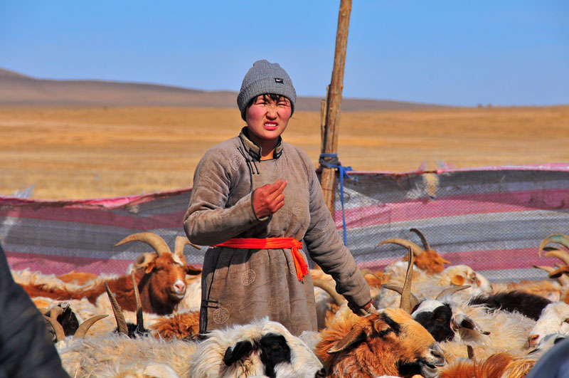 Mongolie